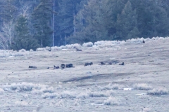 Junction-Butte-II-Slough-Creek-March-21-2026