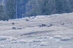 Junction-Butte-Slough-Creek-March-21-2026