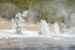 Frozen-Forest-Mammoth-October-28-2025