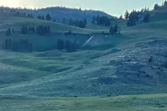 Wolf-den